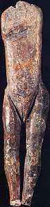 Immodest Venus